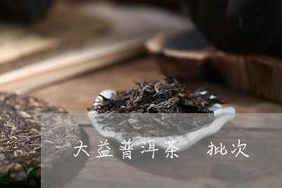 大益普洱茶 批次/2023041286359